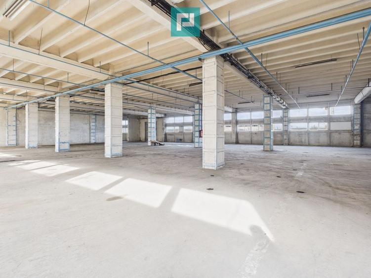 Spațiu industrial, de 39,139 mp, în Nord
