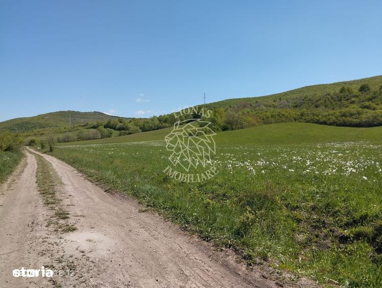 Teren de 5400 mp, în Central