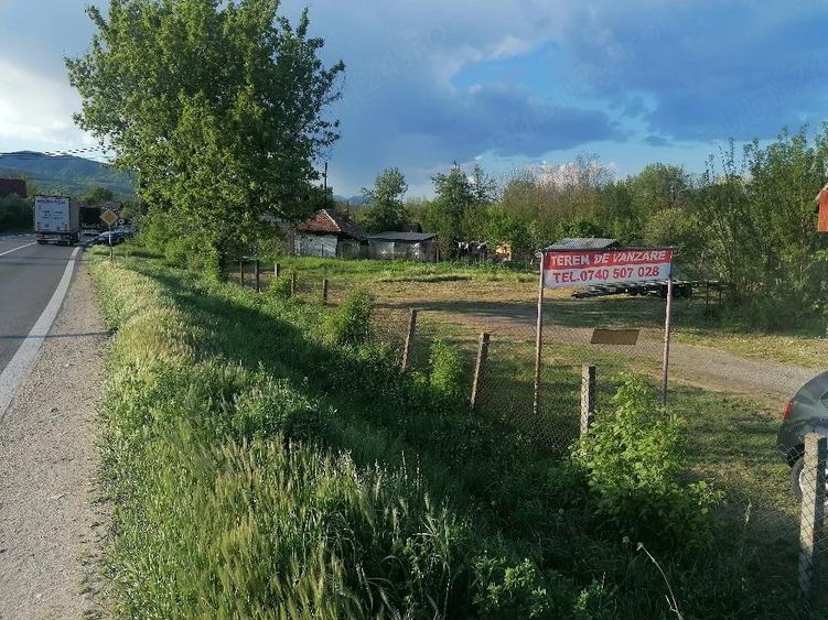 Teren de 800 mp, în Bujoreni