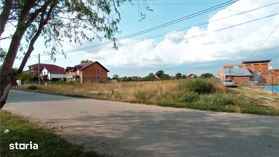 Teren de 563 mp, în Zimandu Nou