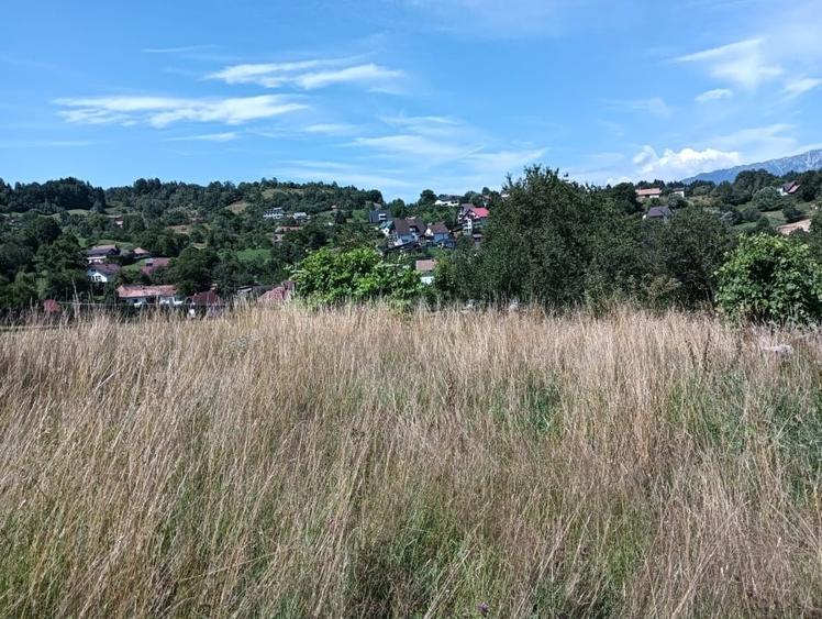 Teren Construcții intravilan de 3981 mp, în Bran