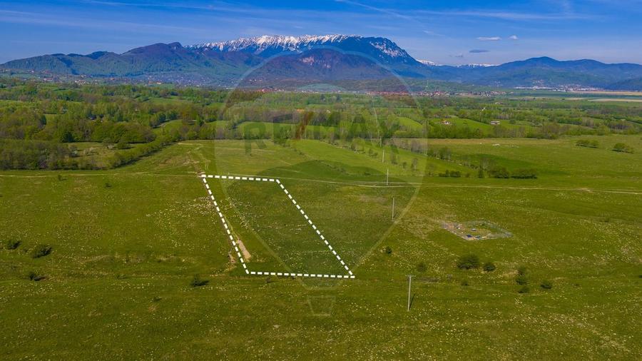 Teren agricol extravilan de 10000 mp, în Glăjărie