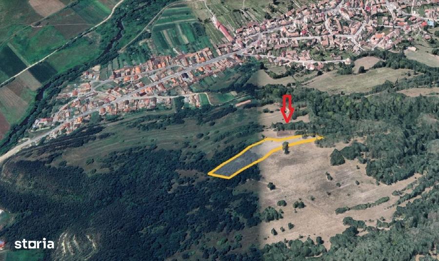 Teren extravilan 5500 mp, la padure zona Selimbar (Mohu) - 2