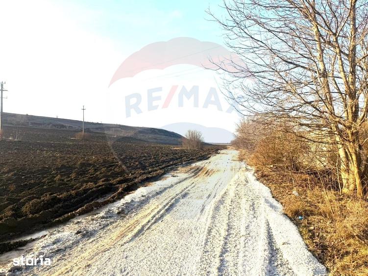 Teren de 4956 mp, în Calea Bârladului