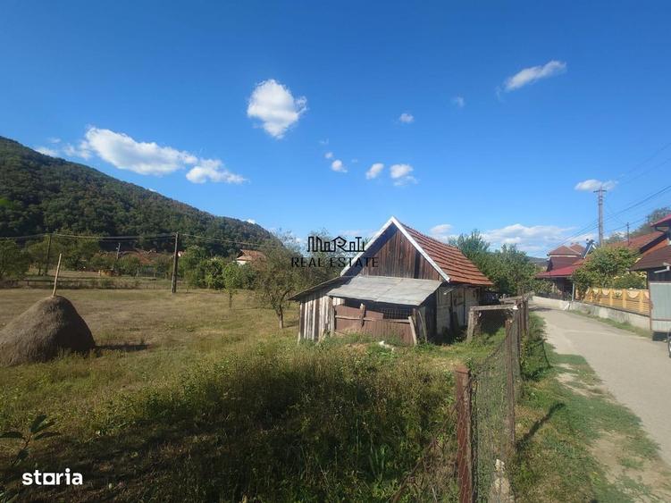 Casă cu 4 camere cu Teren 3514 Mp în Criș