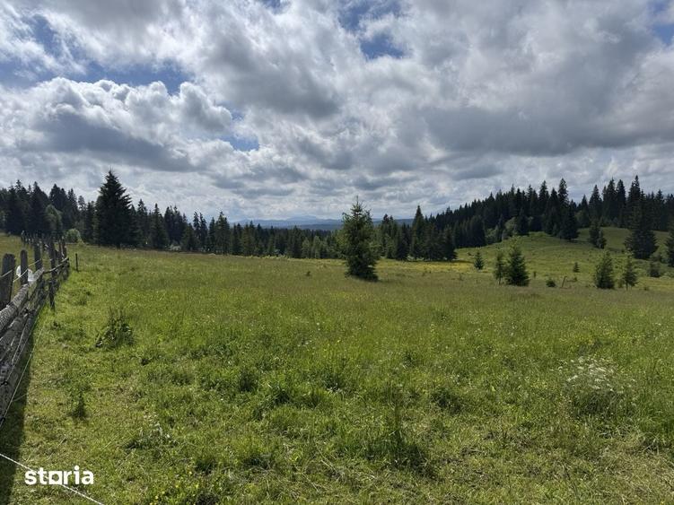 Teren de 18980 mp, în Dorna Candrenilor