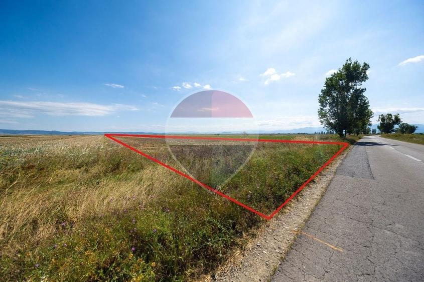 Teren agricol extravilan de 30000 mp, în Hălchiu