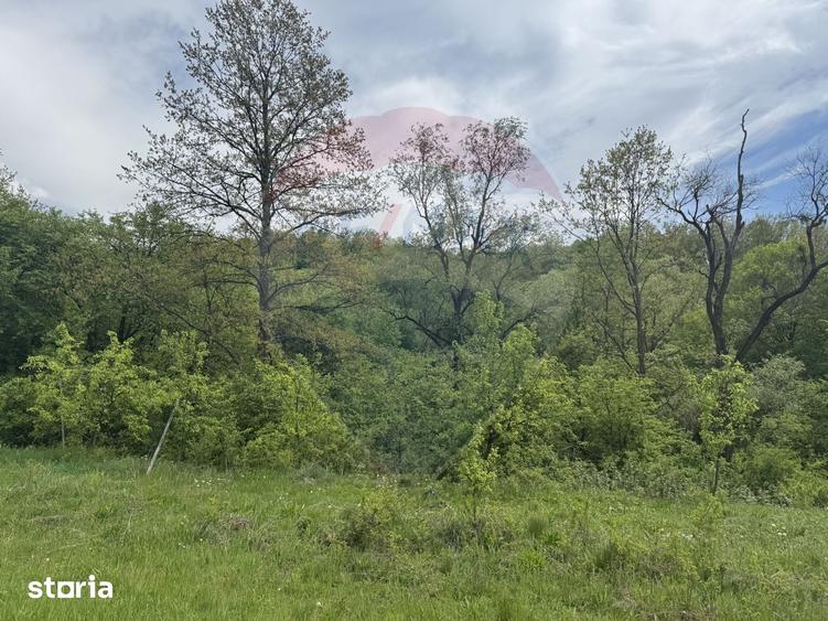 Casă cu 4 camere cu Teren 57600 Mp în Zimbor