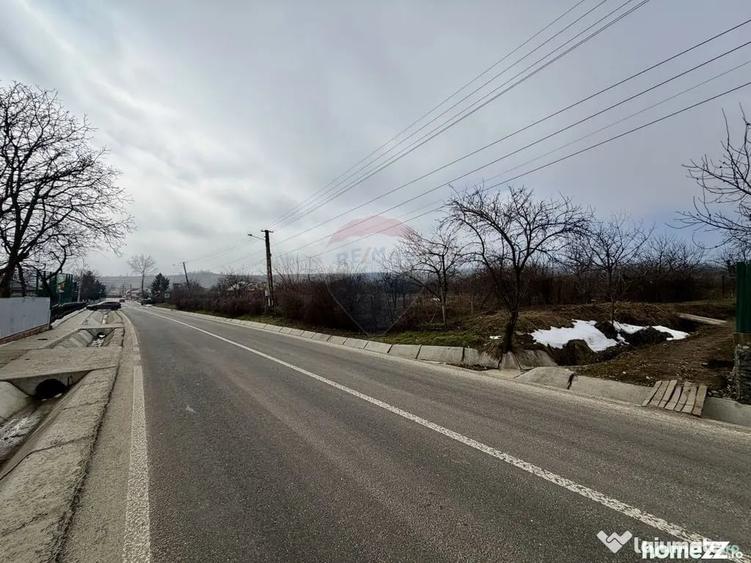 Casă cu 4 camere cu Teren 7727 Mp în Blidari (Cârligele)
