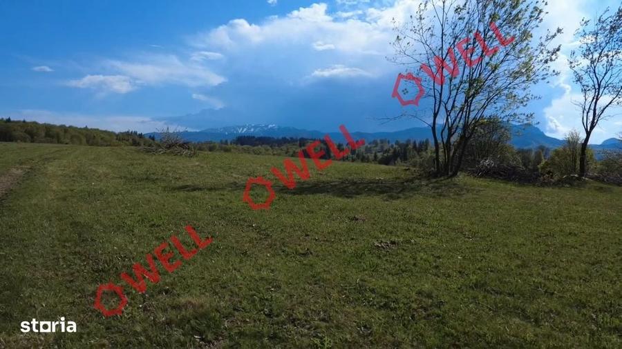 Spațiu comercial, în Vama Buzăului