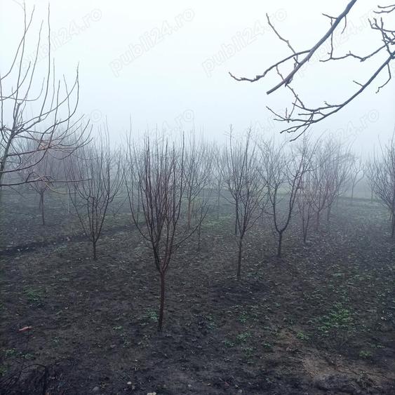Proprietar vand casa com Ceptura de Jos judetul Prahova - 2