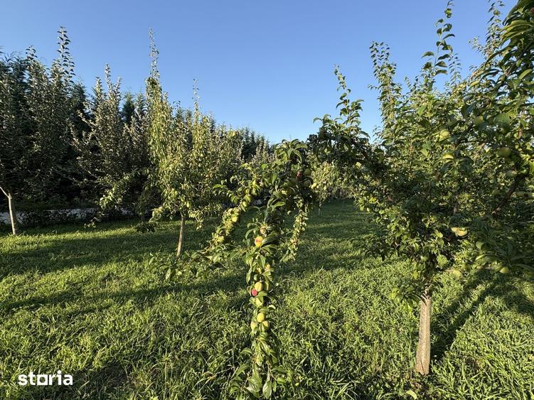 Teren de 2700 mp, în Vernești