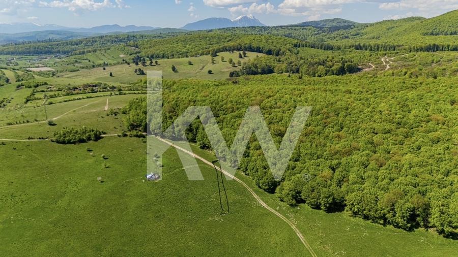 Teren agricol extravilan de 1500 mp, în Codlea