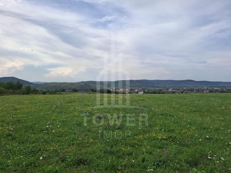 Teren agricol extravilan de 1500 mp, în Orlat