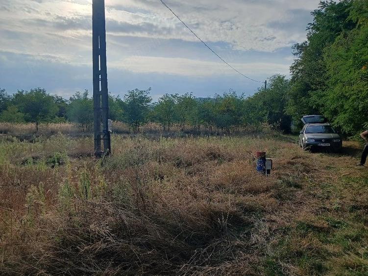 Teren de 6000 mp, în Budești