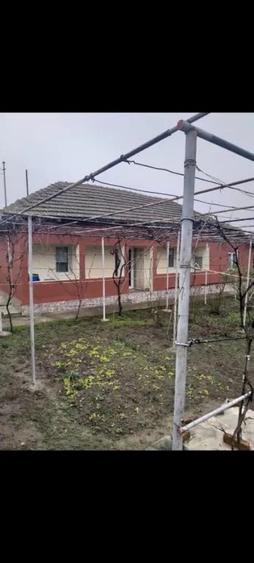 Casă cu 3 camere în Central