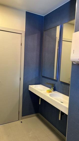 Spațiu comercial, de 415 mp, în Bucur Obor