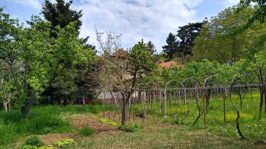 Casă cu 4 camere în Covăsinț