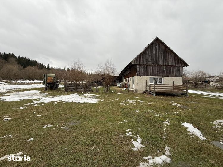 Teren de 3600 mp, în Horodnic