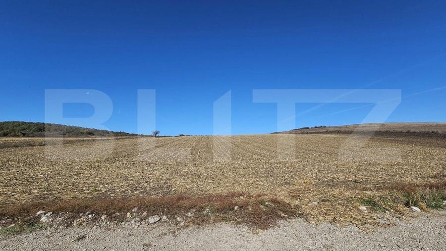 Teren agricol extravilan de 17000 mp, în Almașu Mic