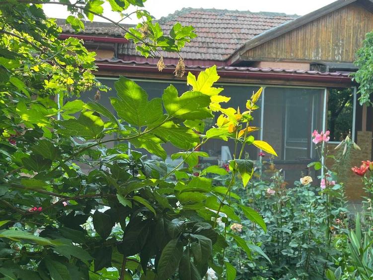 Casă cu 2 camere în Grindu