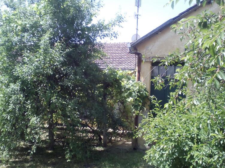 Casa 4 cam. in Vinga central - ID : RH-7723-property - 2