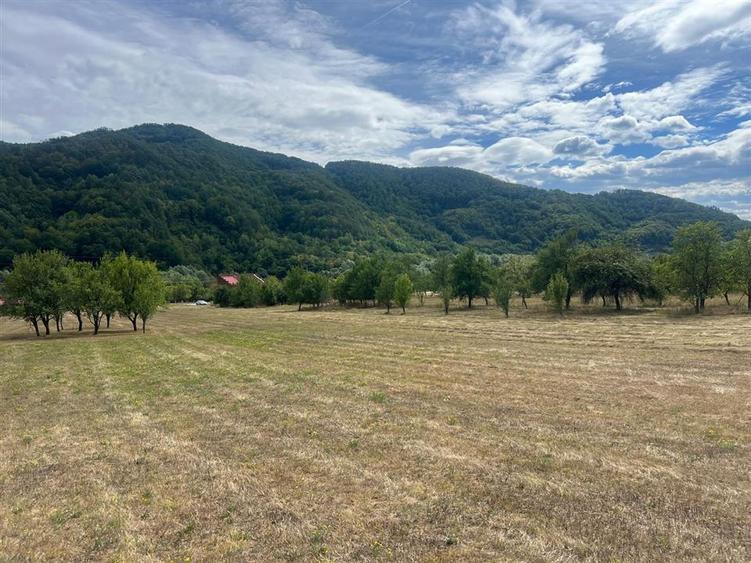 Teren Construcții intravilan de 6354 mp, în Mihăileni