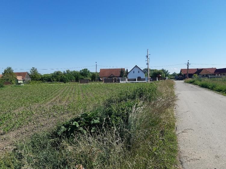 Teren Construcții intravilan de 4650 mp, în Centrul Istoric