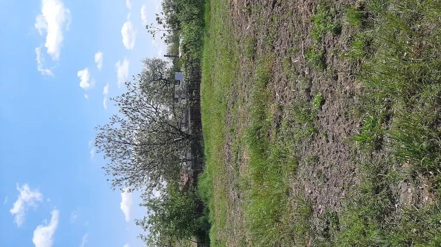 Teren de 7000 mp, în Poșta (Topliceni)