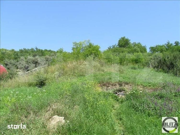 Investitie !Teren extravilan,15554 mp, zona in plina dezvoltare - 4