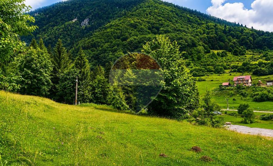 Teren Construcții intravilan de 2500 mp, în Sud-Est