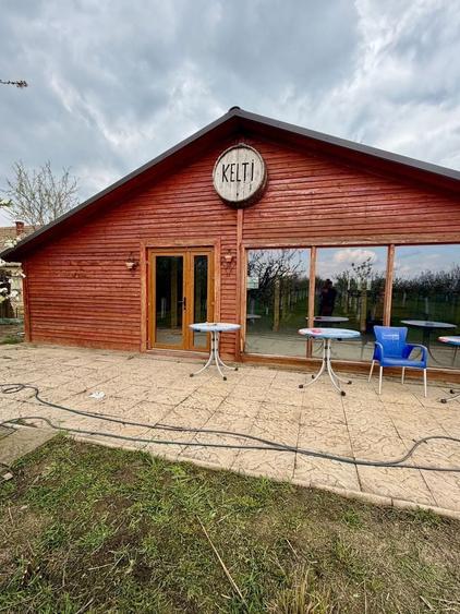 Teren intravilan de 3500 mp, în Sânmartinu Sârbesc