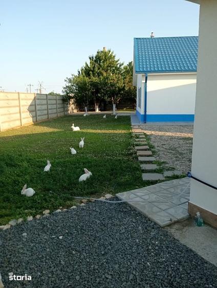 Casă cu 5 camere cu Teren 750 Mp în Corbu