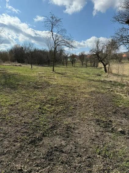 Teren de vanzare Sat Corusu, comuna Baciu 3484mp - 18