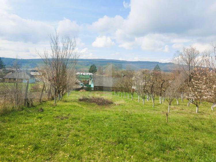 Casă cu 3 camere cu Teren 2900 Mp în Central
