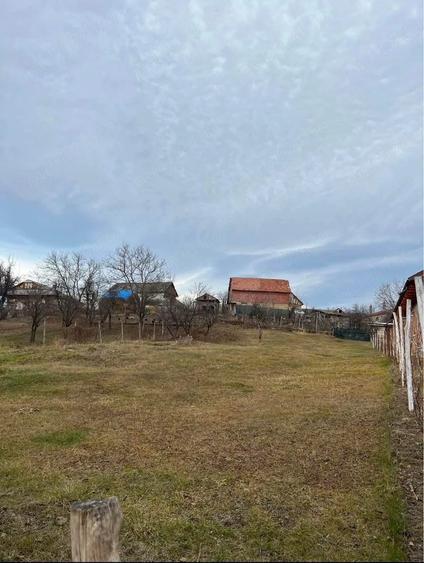 Teren de 1000 mp, în Vidra