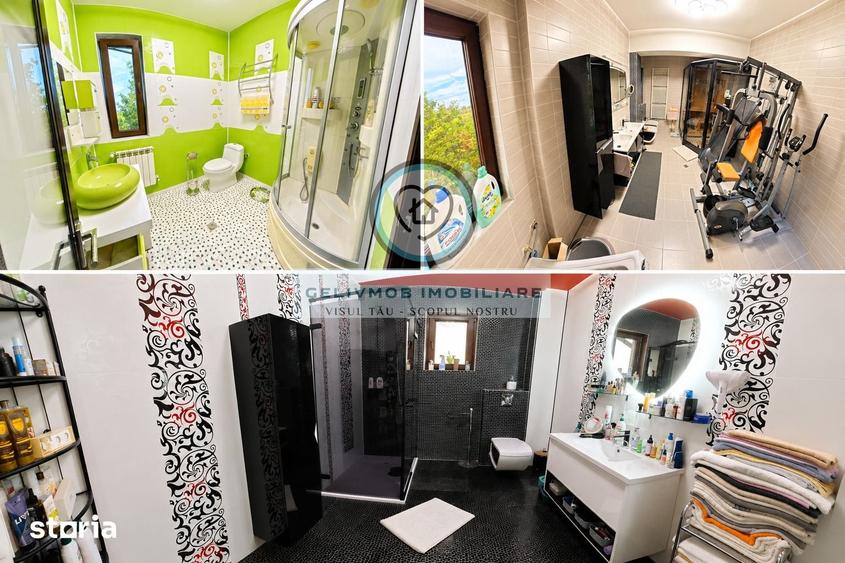 Casă cu Teren 4521 Mp în Ariceștii Rahtivani
