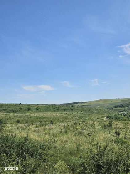 Teren de 425000 mp, în Țaga