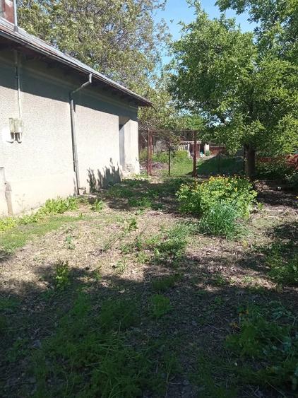 Casă cu 3 camere cu Teren 2588 Mp în Suhaia