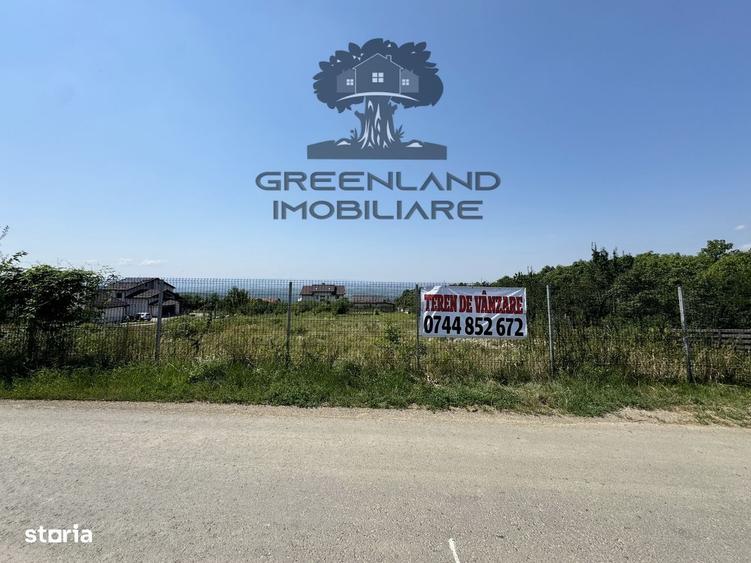 Spațiu comercial, în Păun
