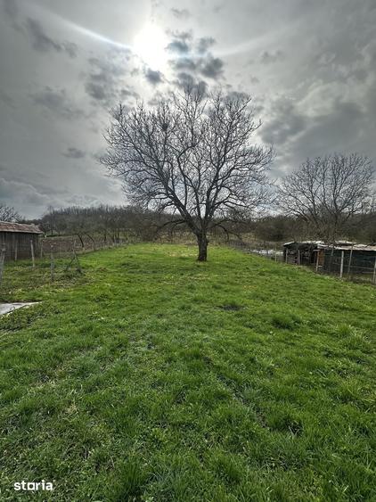 Casă cu 2 camere cu Teren 2700 Mp în Mica