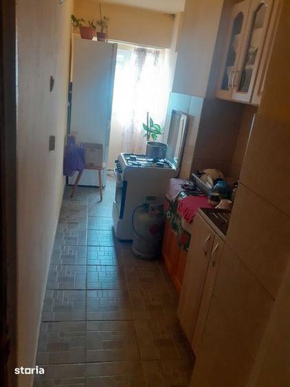 Apartament lipova - 4