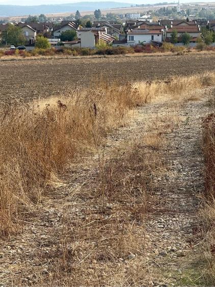 Teren de 10000 mp, în Paleu