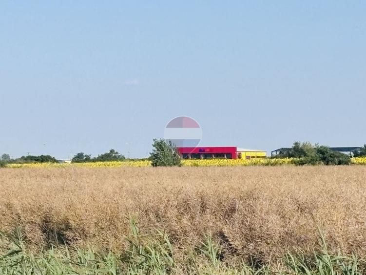 Teren Construcții de 8475 mp, în Joița
