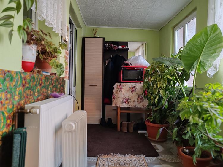 Casă individuală cu 5 camere cu Canalizare în Satu Nou
