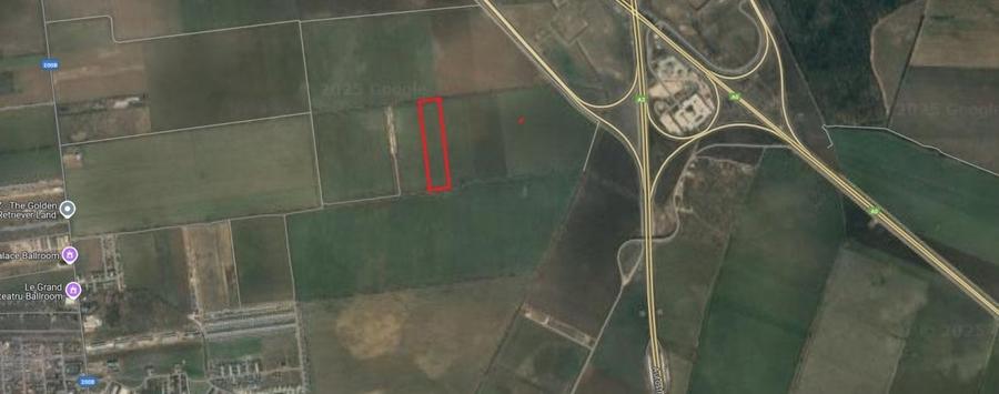 Teren agricol intravilan de 16434 mp, în Tunari
