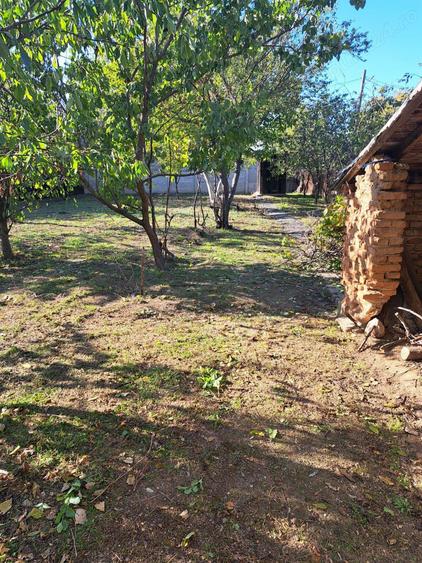 Teren de 800 mp, în Dărăști-Vlașca
