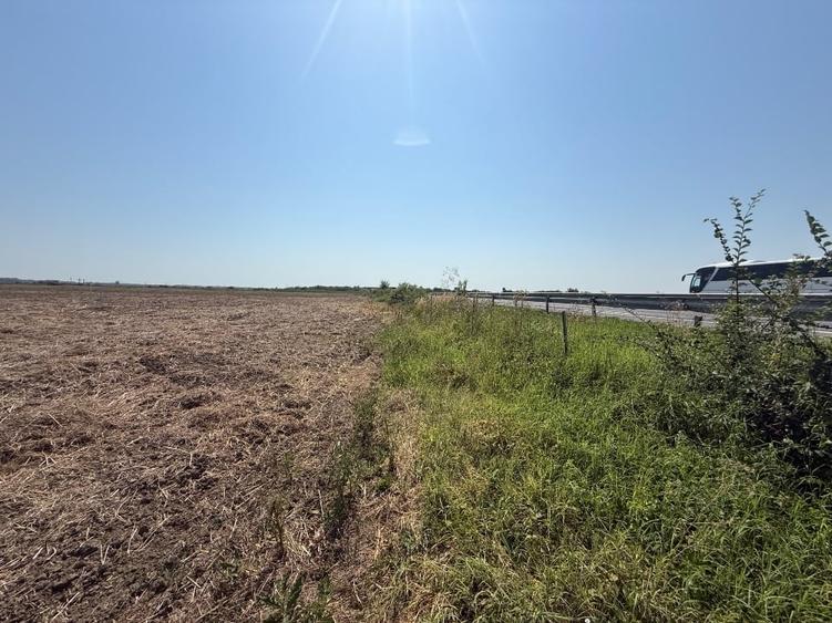Teren agricol extravilan de 30000 mp, în Uliești