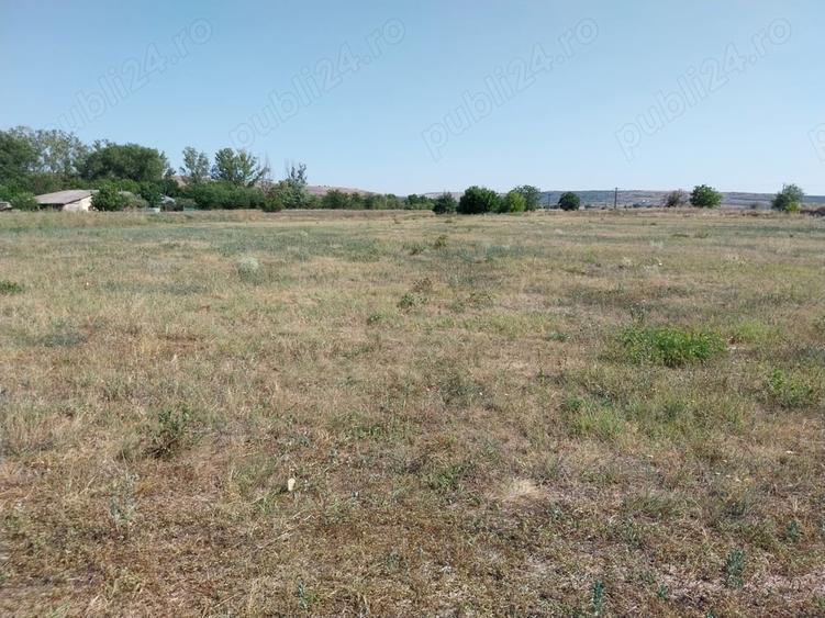 Teren de 15000 mp, în Central