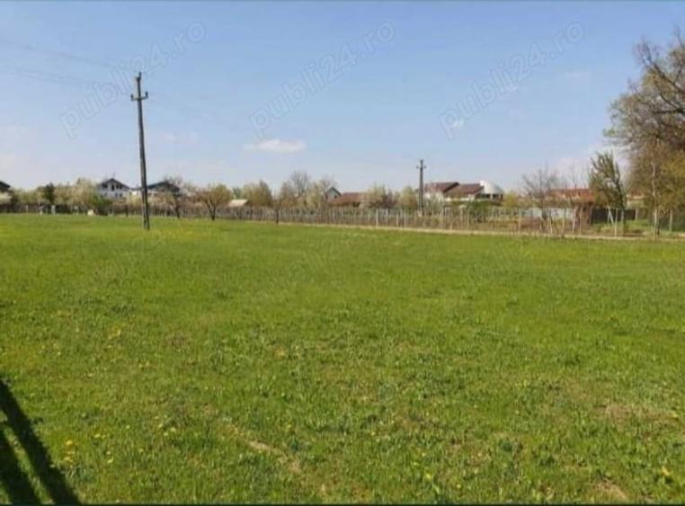 Teren de 6000 mp, în Nord